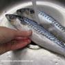 Recipe para sa mackerel roll na may mga karot at itlog - isang rainbow appetizer para sa gourmets Paano gumawa ng mackerel roll