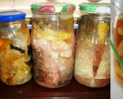 Homemade canned fish from river fish