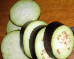 Eggplant salad “Mother-in-law’s tongue”: best recipes