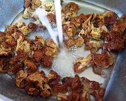 Jamur porcini beku apa yang harus dimasak