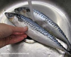 Recipe para sa mackerel roll na may mga karot at itlog - isang rainbow appetizer para sa gourmets Paano gumawa ng mackerel roll